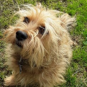 Meet your Posher, Robert